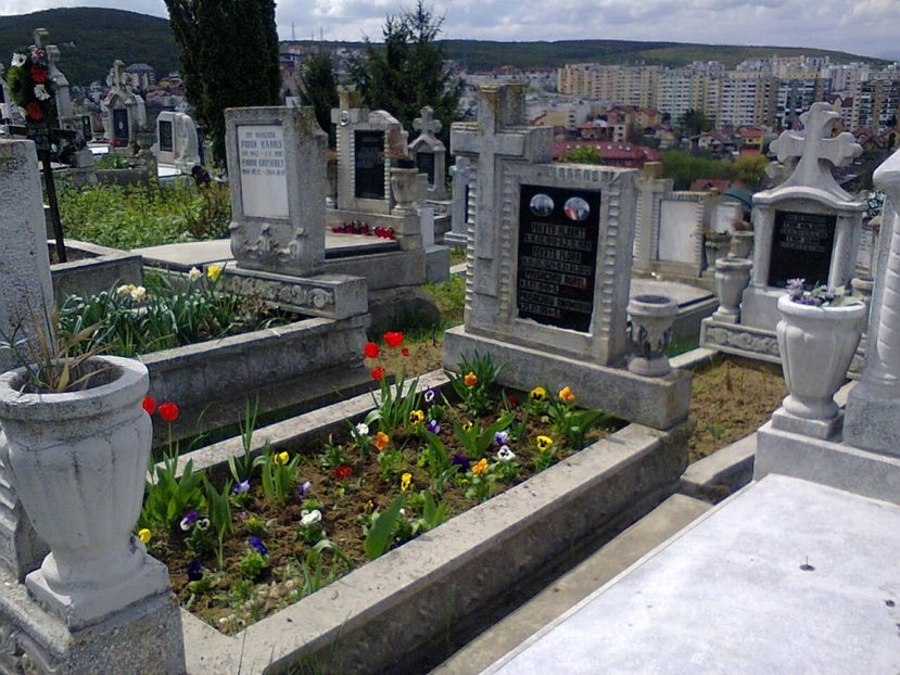 Fotografie5063 - 2019 DUMINICA FLORIILOR 6 apr