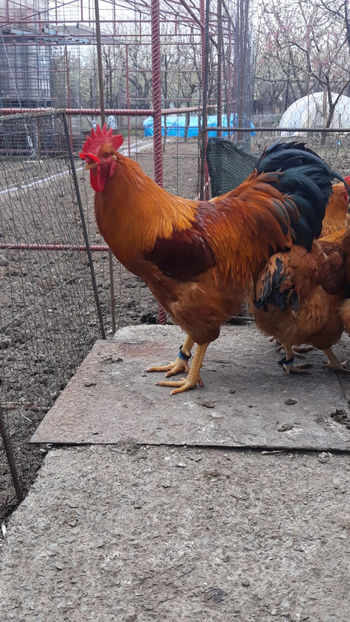 08 at 20.35.48 - 2019 New Hampshire