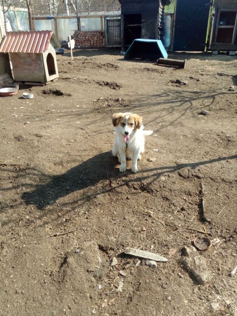  - RIP Athos