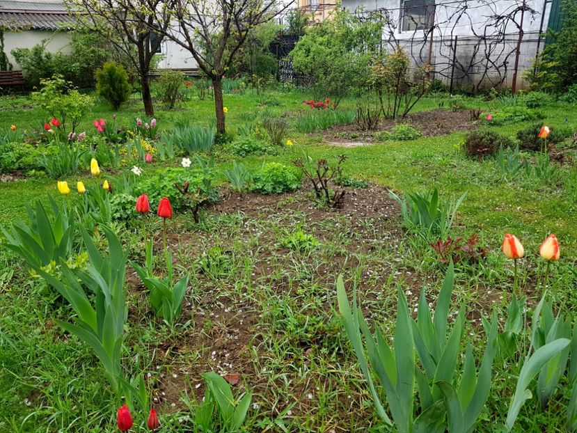  - 2019 Idilic garden