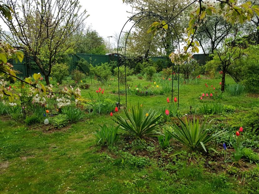  - 2019 Idilic garden