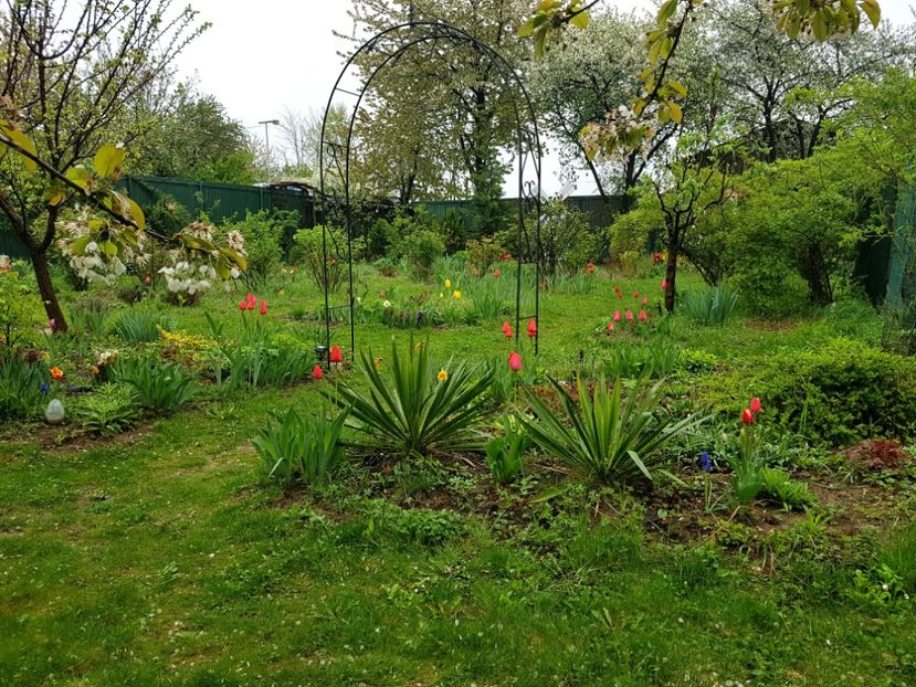  - 2019 Idilic garden