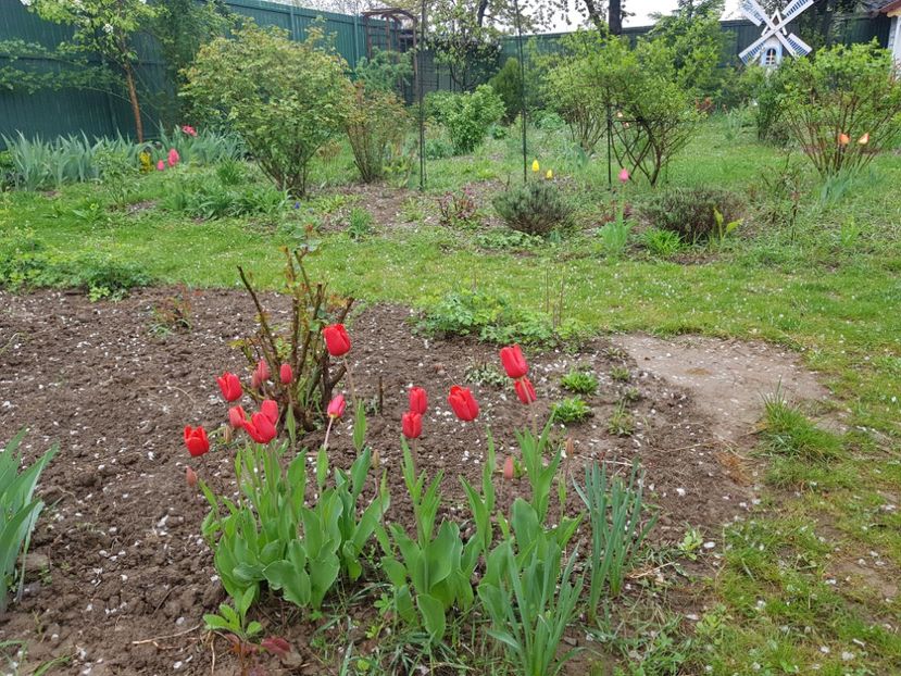  - 2019 Idilic garden