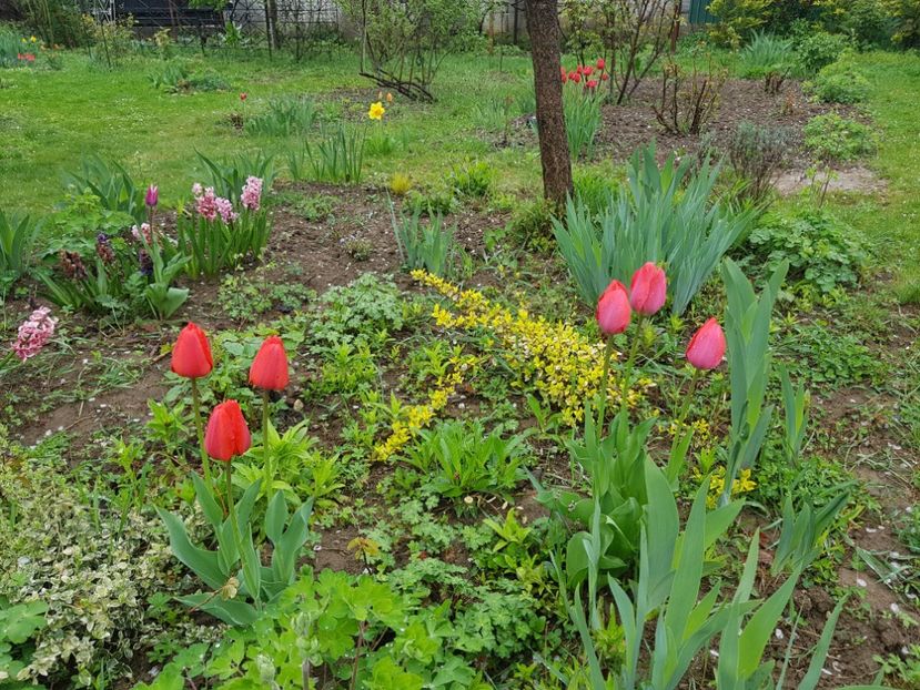  - 2019 Idilic garden