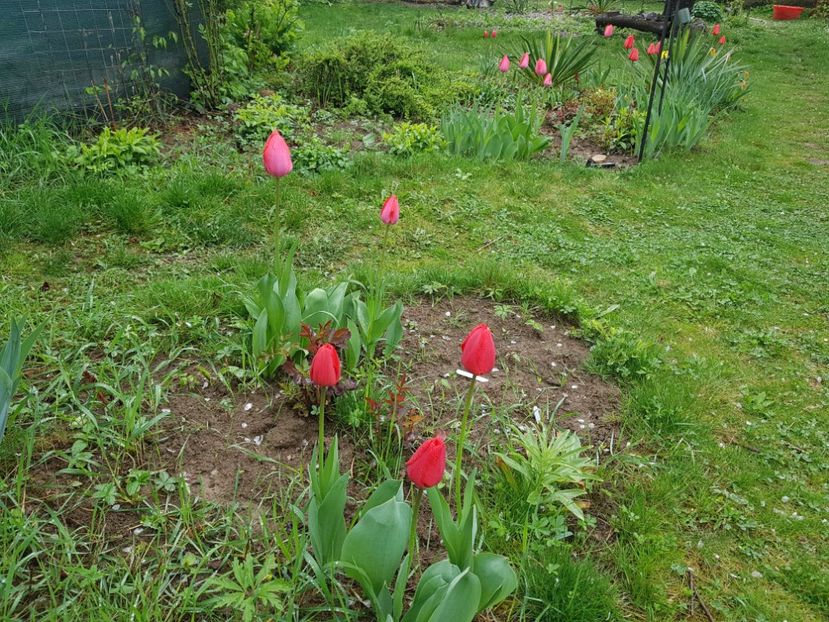  - 2019 Idilic garden