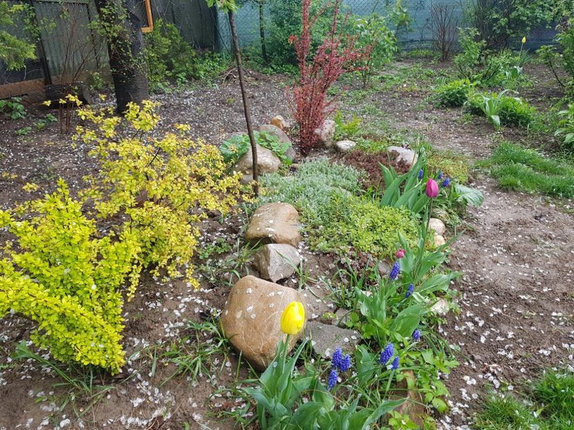  - 2019 Idilic garden