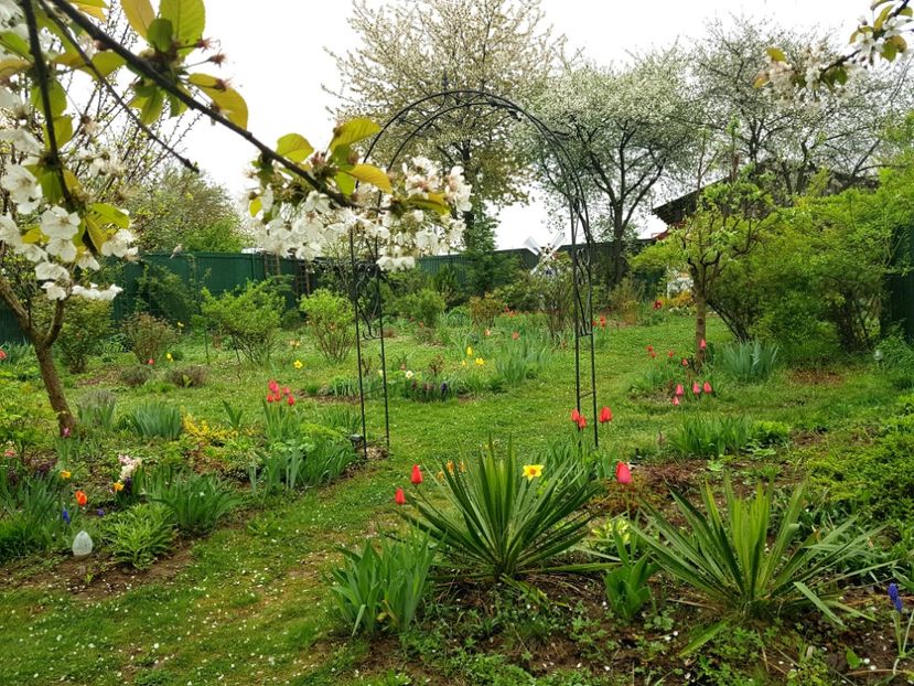  - 2019 Idilic garden