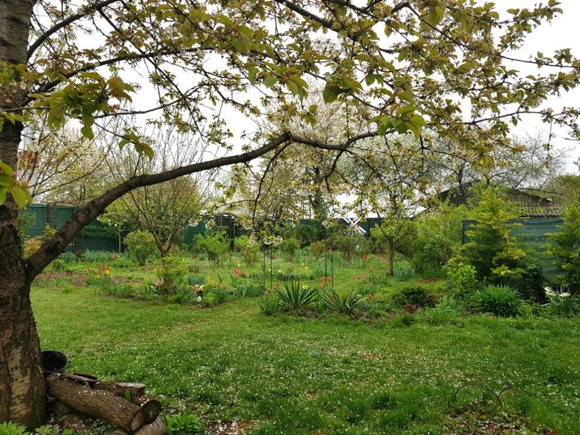  - 2019 Idilic garden