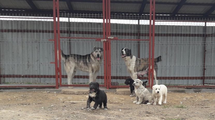 13.04.2019 - ASIA - CENTRALĂ