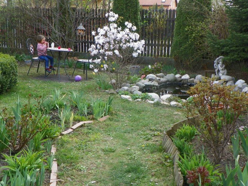13 apr (15) - Copacei si arbusti 2019