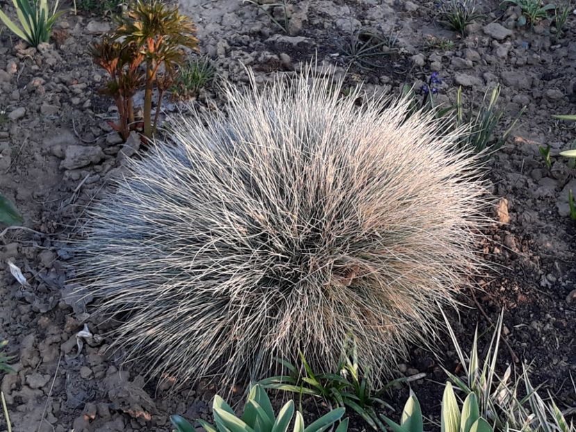  - Primavara 2019-2022