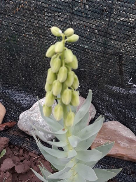  - Primavara 2019-2022