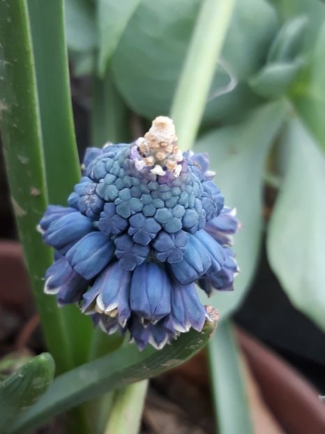  - Primavara 2019-2022