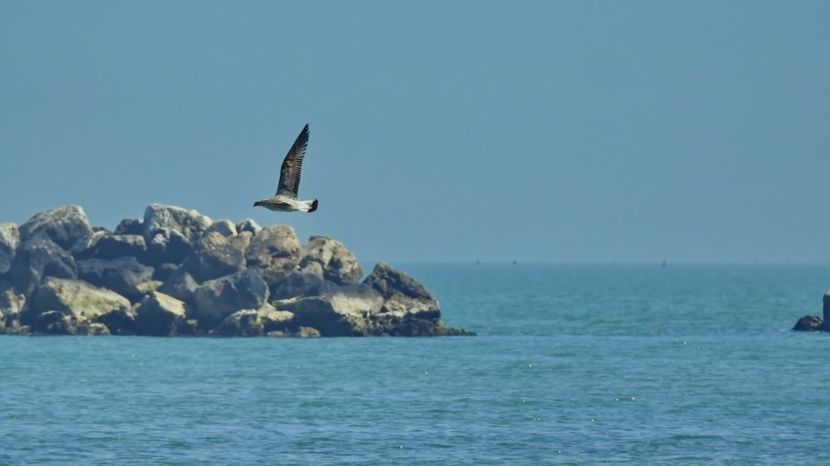  - CESENATICO