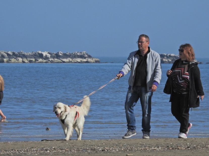  - CESENATICO