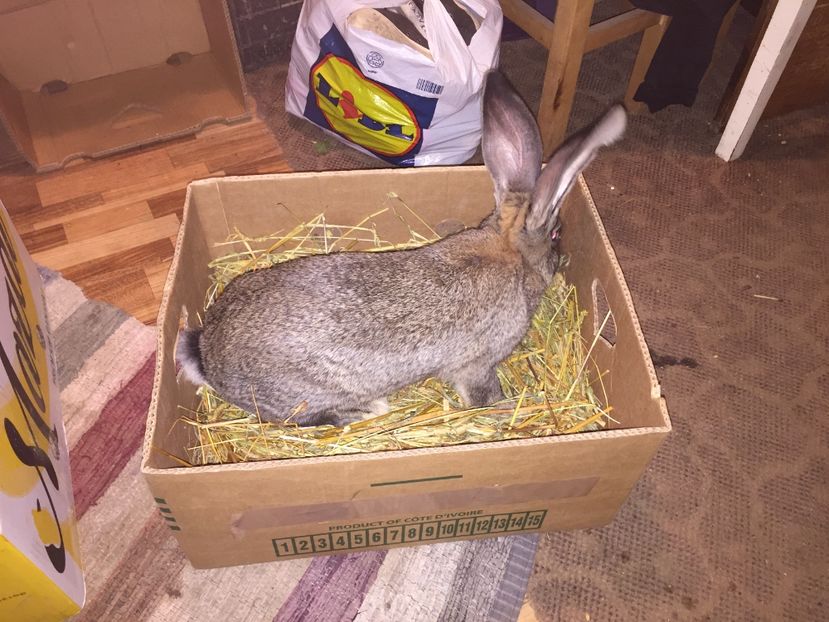 Vândută - RO 8-128192