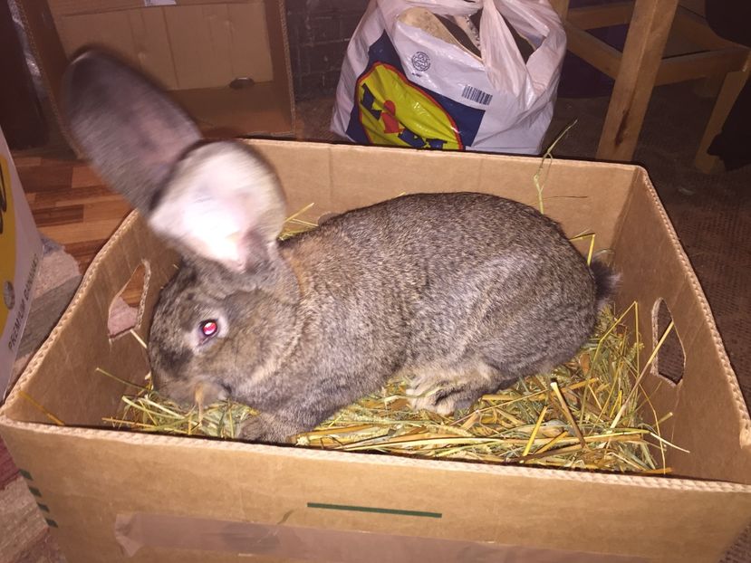 vândută - RO 8-128192