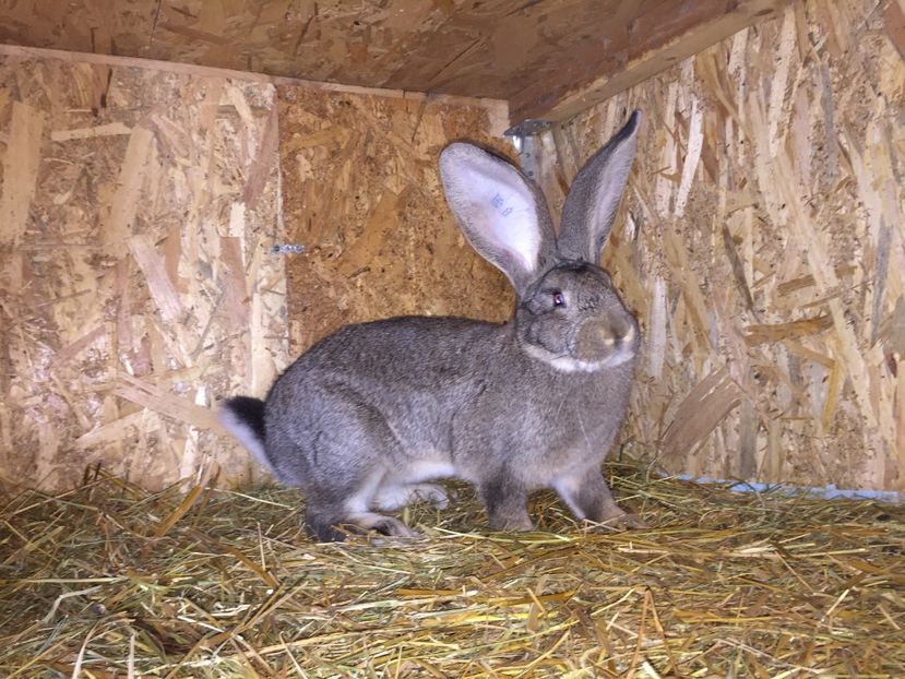 41106A45-BB89-4561-92B0-33439660C913 - RO 8-128193