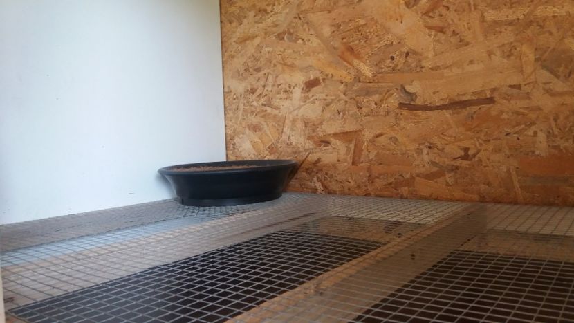  - boxele gata pentru perchi