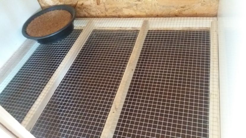  - boxele gata pentru perchi