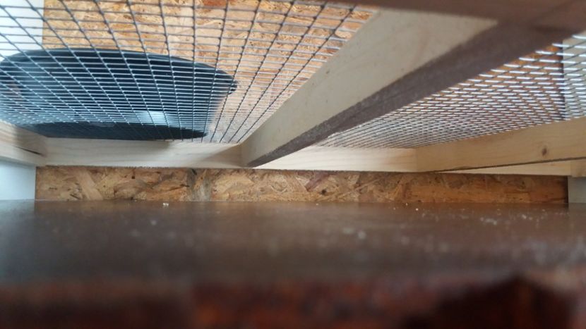  - boxele gata pentru perchi