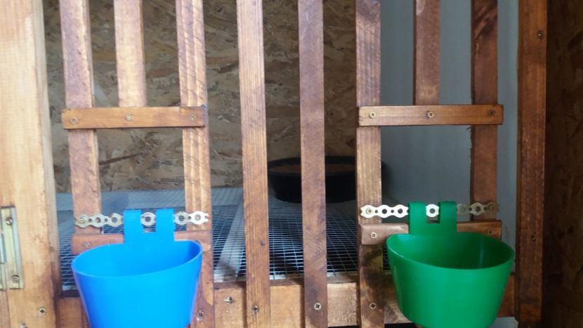  - boxele gata pentru perchi