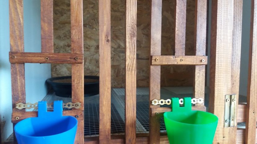  - boxele gata pentru perchi