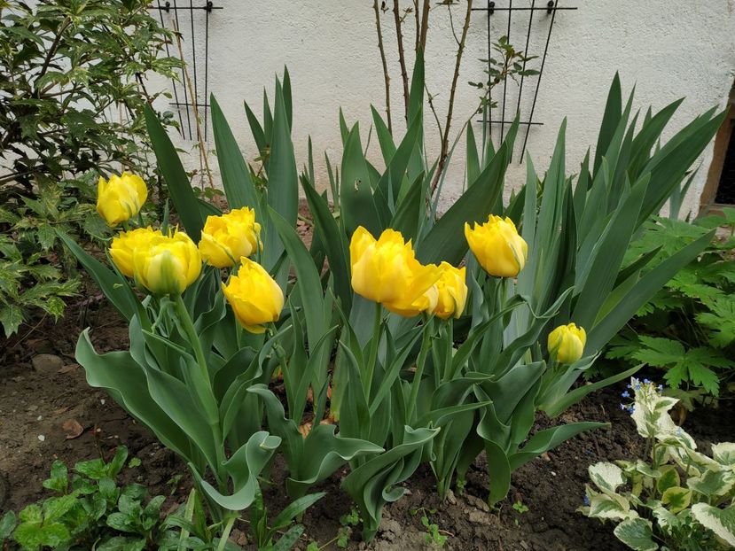  - APRILIE 2019- APRILIE 2020