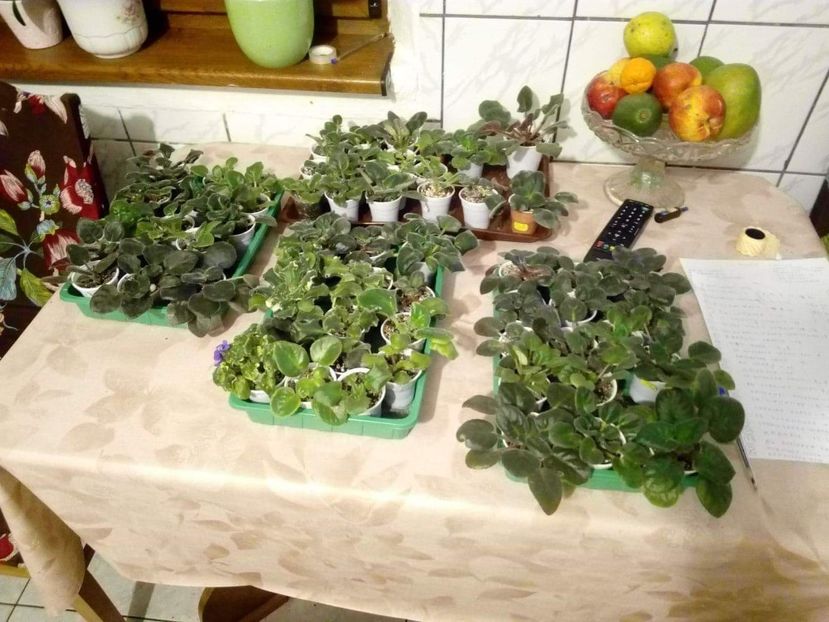 received_255280105425589 - AAA Making of