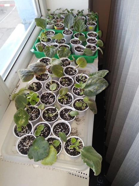 zzzzzzzzz - AAA Making of