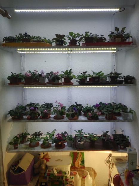  - AAA Ne pregatim de iernat 23 octombrie 2018