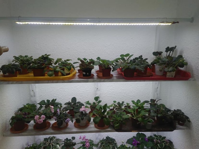  - AAA Ne pregatim de iernat 23 octombrie 2018