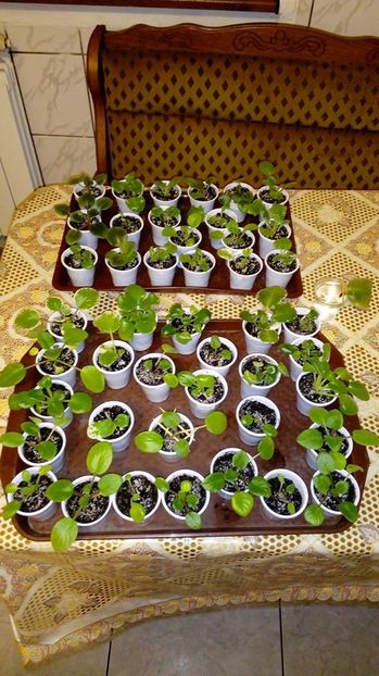 puiet 2 - AAA Making of