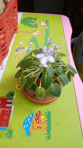 septembrie 2018 - ZZZ____N-Robinzon