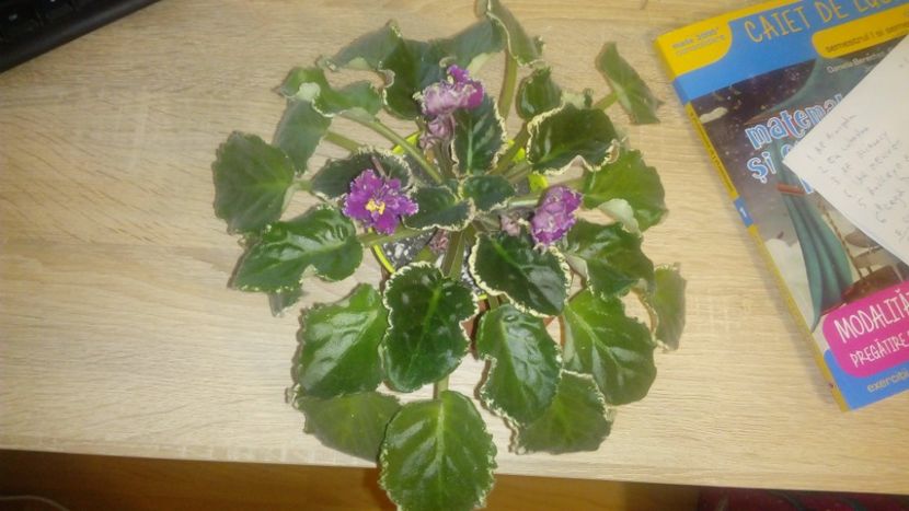 septembrie 2018 - ZZZ____EK Moulin Rouge