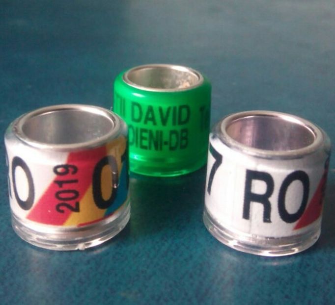 2019- alb steag....-1 leu - Inele porumbei 2019 de vanzare