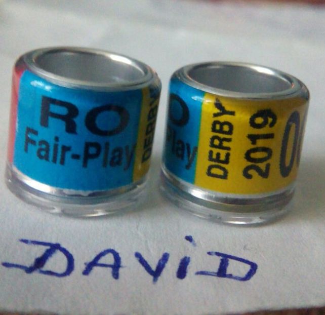 2019-tricolor DERBY....-1 leu - Inele porumbei 2019 de vanzare