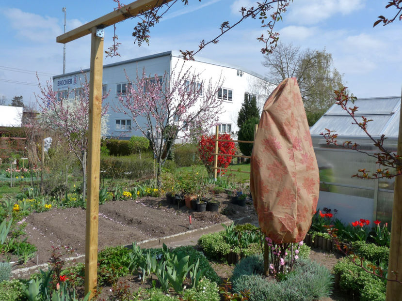  - 2019 - 01 - Primavara