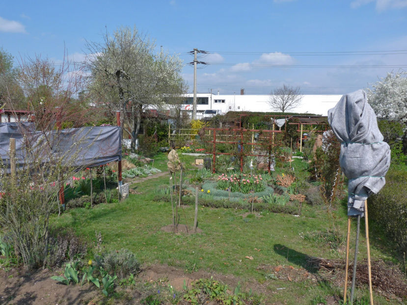  - 2019 - 01 - Primavara