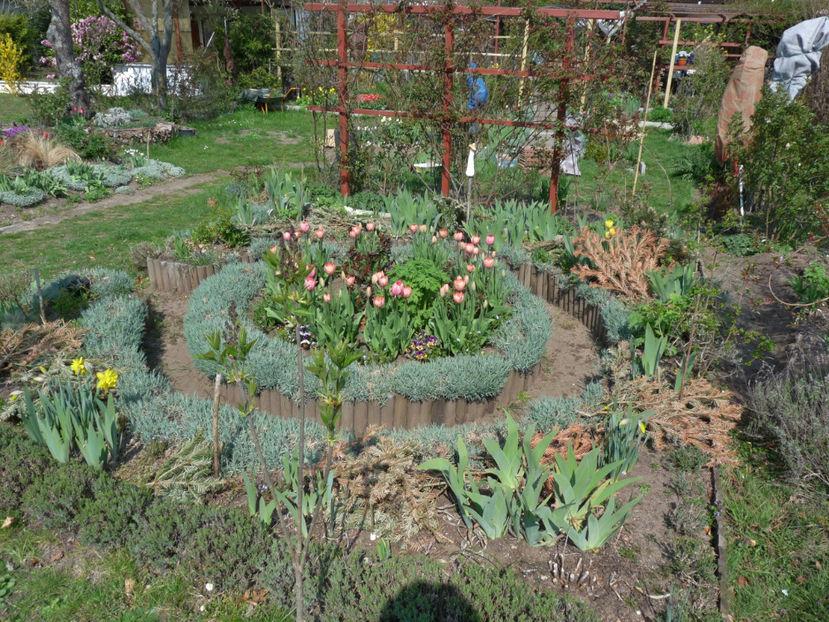  - 2019 - 01 - Primavara