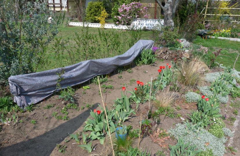  - 2019 - 01 - Primavara