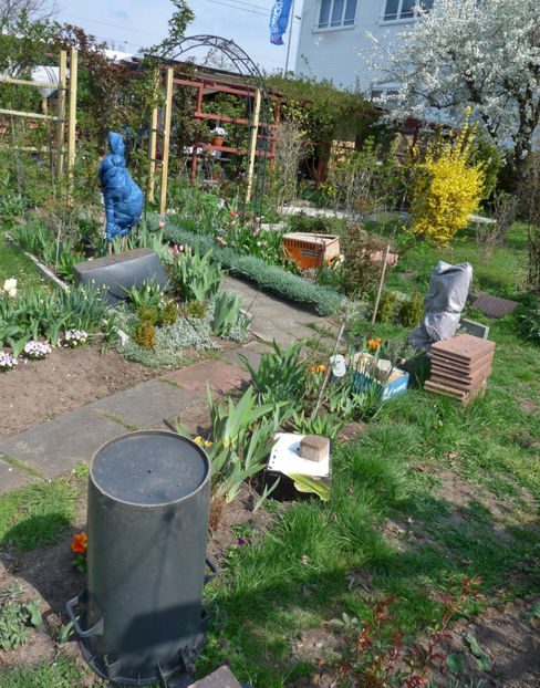  - 2019 - 01 - Primavara