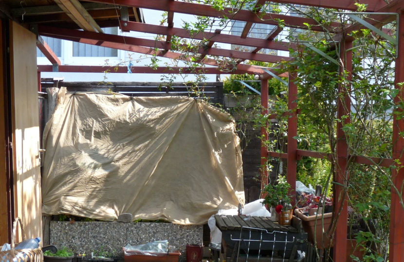  - 2019 - 01 - Primavara