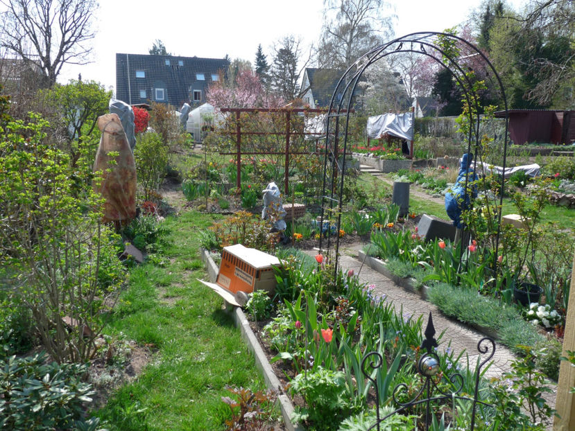  - 2019 - 01 - Primavara