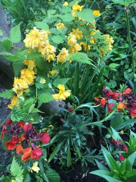 1BBEC2A8-5271-4EBC-AA2A-7C62AE633075 - Aprilie