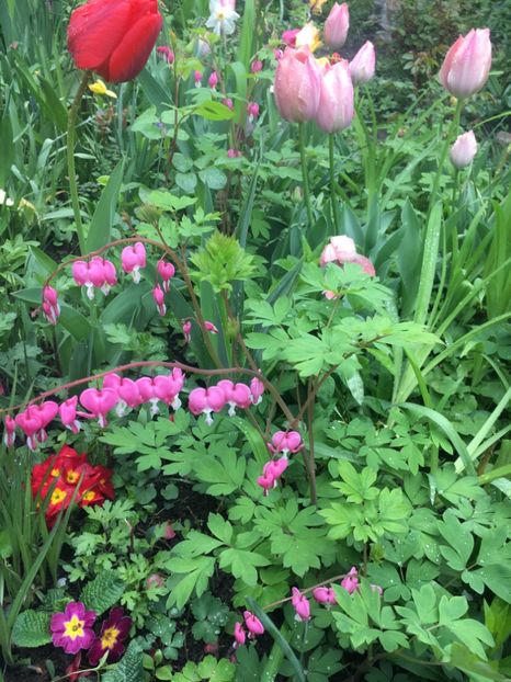 C440F4E2-FD5F-4FEA-A1D3-2230BC7B57B0 - Aprilie