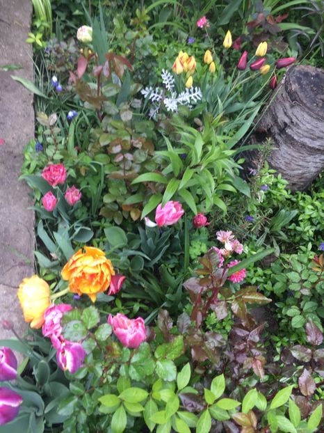 2A94CBFD-6B21-4676-B36D-0D3DE693E8EB - Aprilie