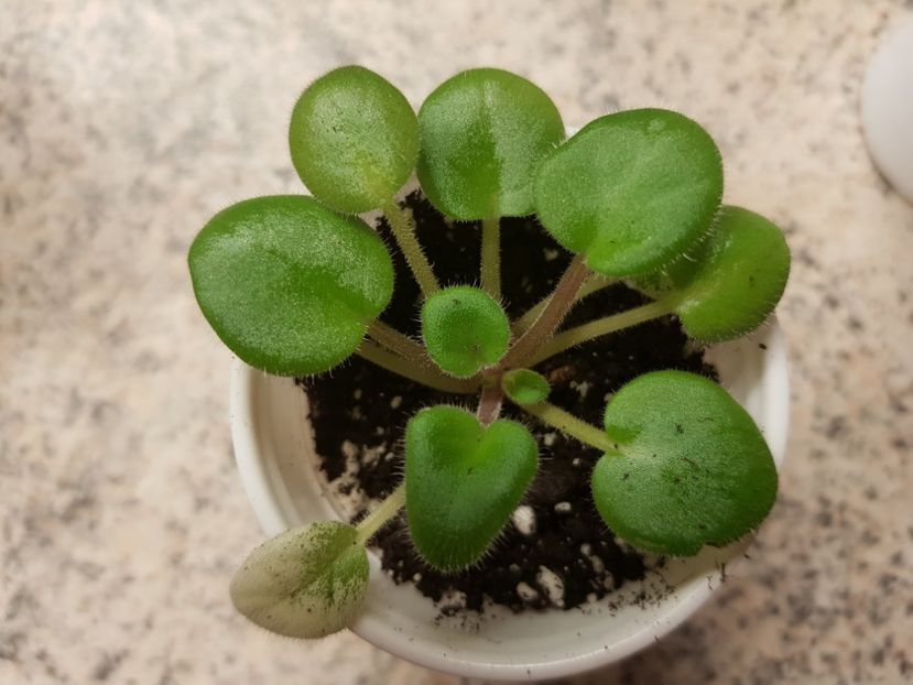 05.04.2019 - Pow Wow