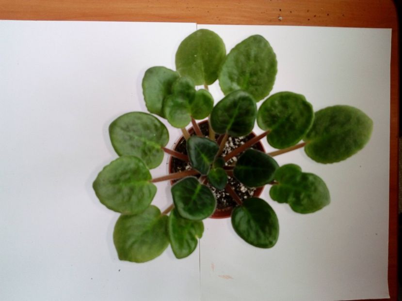 Aprilie 2019 - Bob Serbin