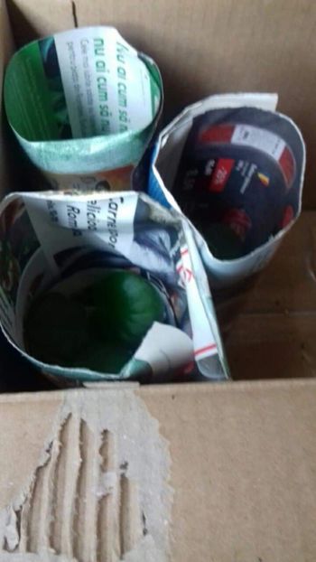 received_2342335739424968 - AAA Expeditie